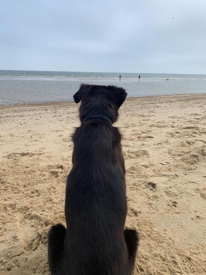 Norfolk Caravan Staycation Pet Friendly Belton with Browston Dış mekan fotoğraf
