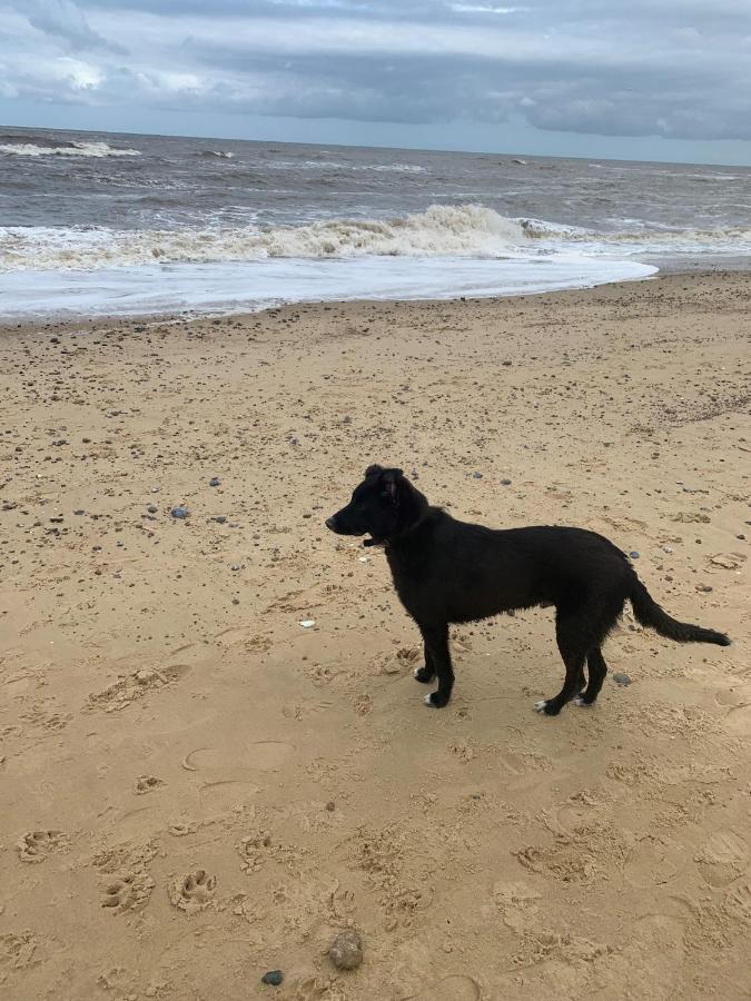 Norfolk Caravan Staycation Pet Friendly Belton with Browston Dış mekan fotoğraf